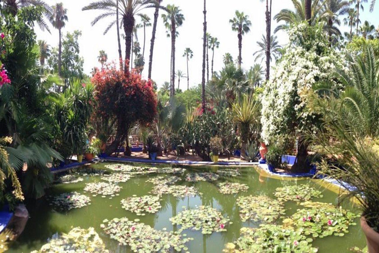 Riad Villa Harmonie Marrakesh Ngoại thất bức ảnh