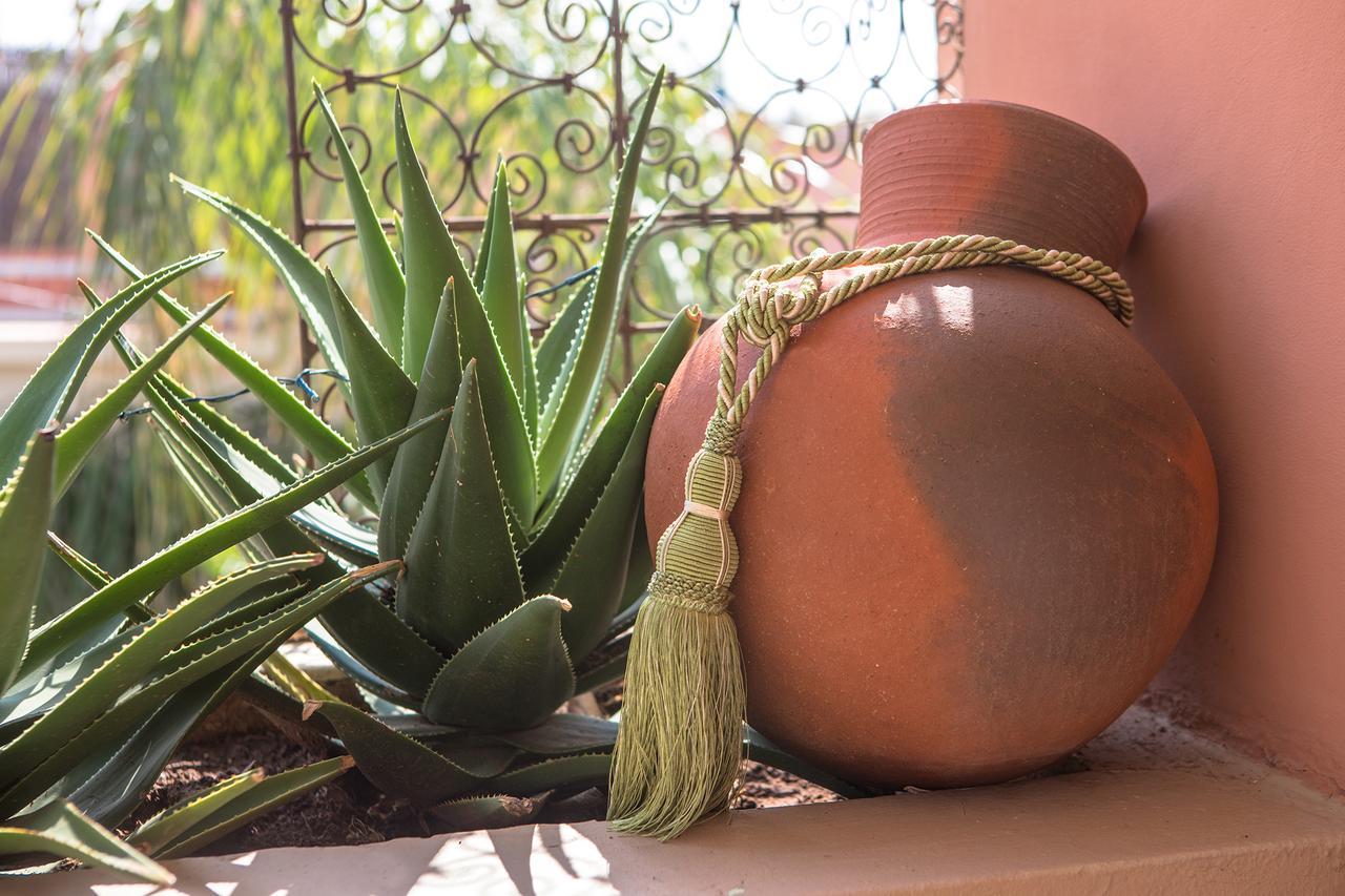 Riad Villa Harmonie Marrakesh Ngoại thất bức ảnh
